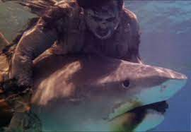 むらさめ もっと手っ取り早い覚え方を紹介すると サンゲリアはゾンビとサメが海中で戦うサメ映画ですがゾンゲリアはサメ映画ではなく海岸で投網で捕縛された男が灯油をかけられて火達磨にされる映画です T Co L1ix3mnc93 Twitter