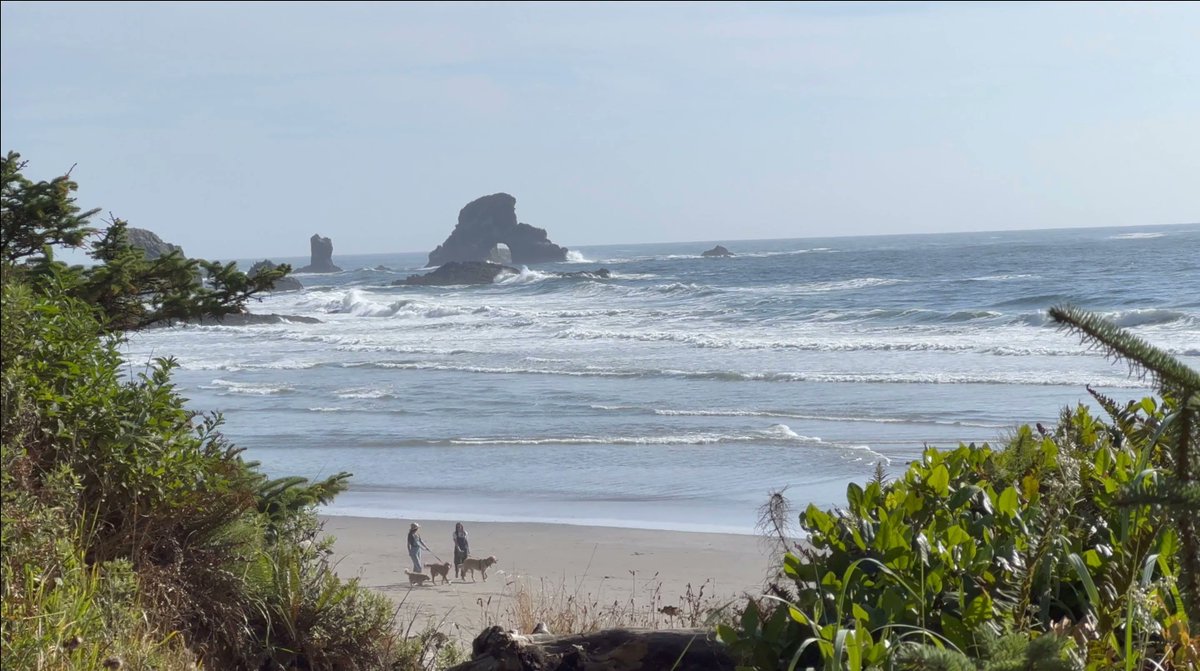 Cool natural bridge rock formation off the coast of Ecola State Park on the Oregon coast #OregonCoast #PeoplesCoast #Exploregon #ExploreOregon #AdventuresPNW #PNWLife #PNWonderland #OptOutside #OptOutdoors #TravelOregon