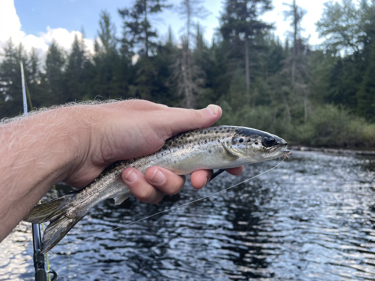Summer’s last stand 2022. 4th Lake, ADKS