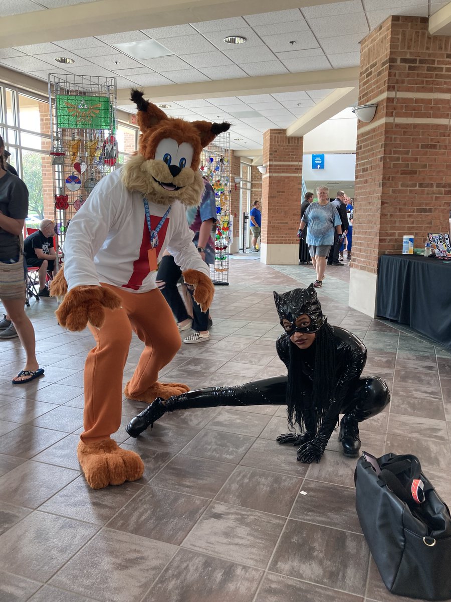 RustyTheBobcat's tweet image. Bubsy (me) and Catwoman at RobCon 2022 
#robcon #robcon2022 #cosplay #batman #dccomics #videogames #videogamecosplay #comiccon