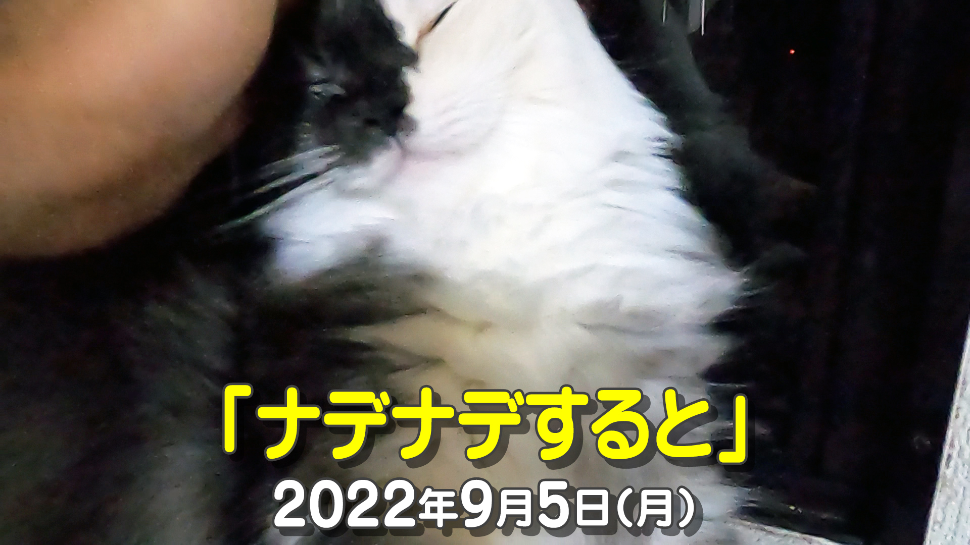 Ksrmmjjgsj0lim