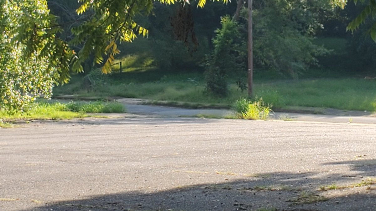 Photos of the area police were originally at when I arrived