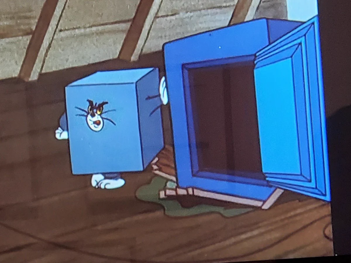 @tongazaka 思い出しちゃうこの猫を😆 