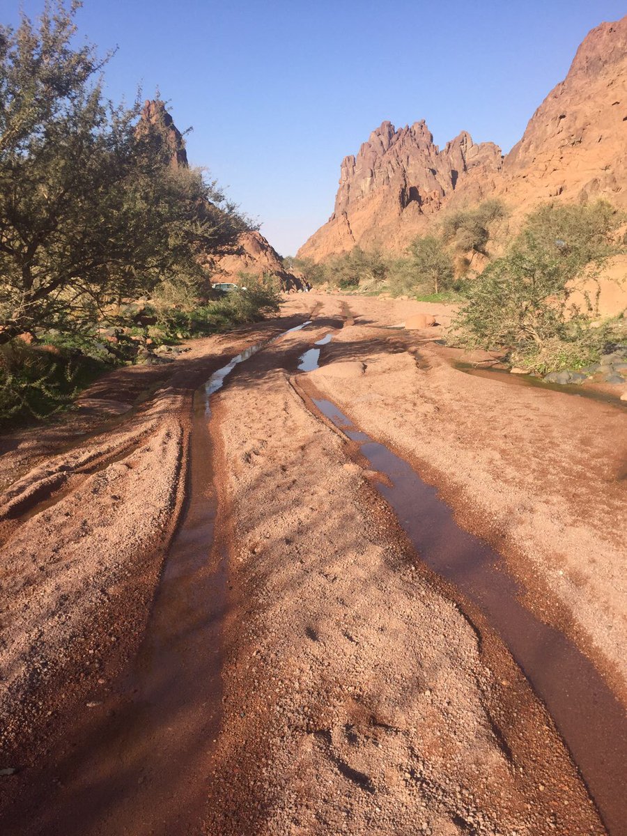 AbdulkaremKHA's tweet image. طبيعة حائل🌴