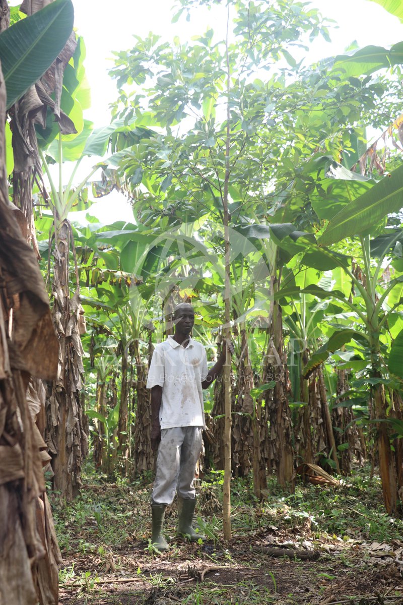 agro_map's tweet photo. Concilier @agriculture et forêt afin de maintenir un microclimat favorable au développement de l’agriculture est l'objectif principal du Projet d’@Agroforesterie et de Reforestation Communautaire des Ilots @Forestiers initié par AGRO-MAP depuis 2020   financer par Reforet'Action. https://t.co/jvrMMyt6KH