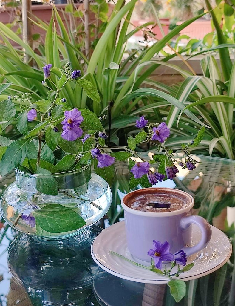 Jory_00000's tweet photo. 🌷🌿

جَـمِيلةُ هِي صبآحاتُ الدُنيـآ
فَكيفَ هِي صـبآحاتُ الجـنةُ... 
اللّهــم اجـعلنا ووالديـنا وأحـٓبابنا 
مِـن أهـل الـجٓنـة... 
                                     🌿🌷

 #صباح_الخير 💜💜

َ https://t.co/G4YO2Z8Gkn