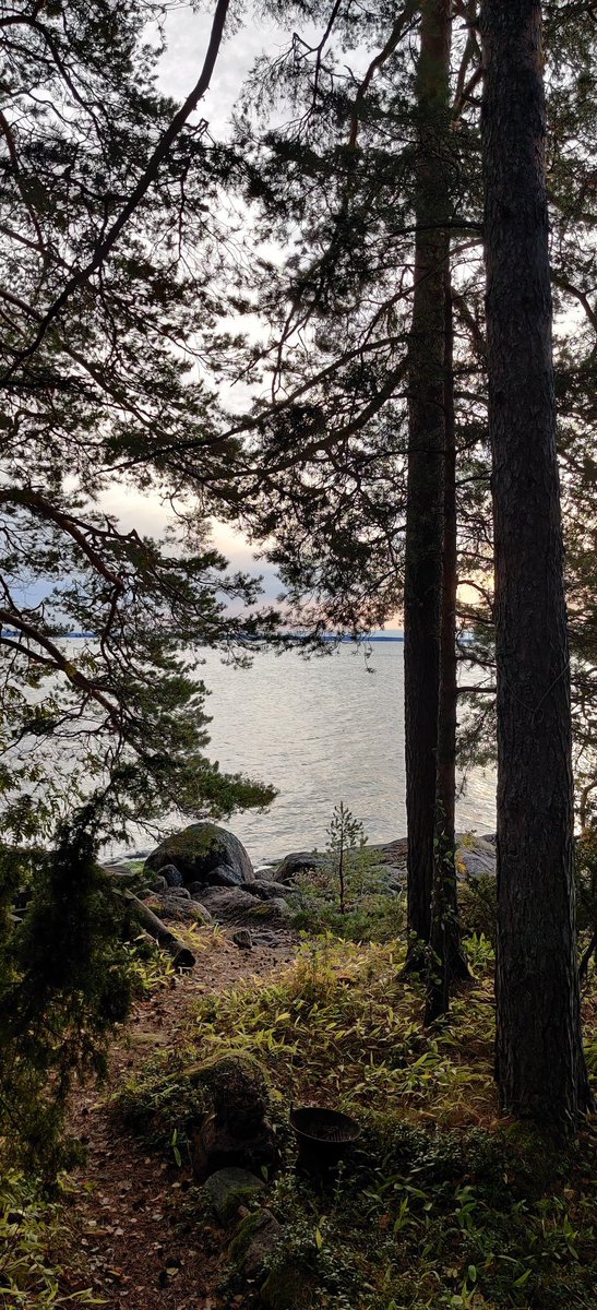 summalainen's tweet photo. Huomenta twitteri. 

#suomenlahti #mökkielämää #kaunisaamu #merivesialhaalla https://t.co/0iYfsZ1KZ6