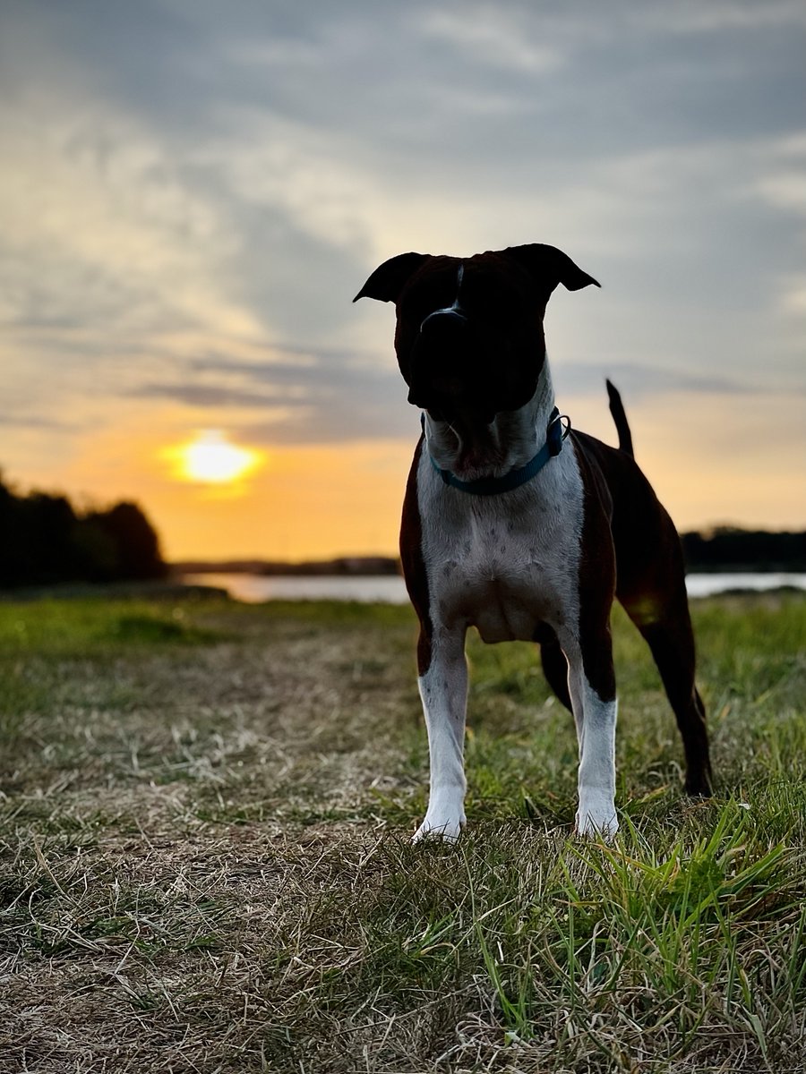 BiKaZi's tweet photo. Das beste vom Sonnenaufgang haben wir natürlich verpasst. Aber egal. 10 € in ner Jackentasche gefunden und schon recht akzeptabel Tanken gewesen. Guter Tag. https://t.co/IXMzP6NoMQ