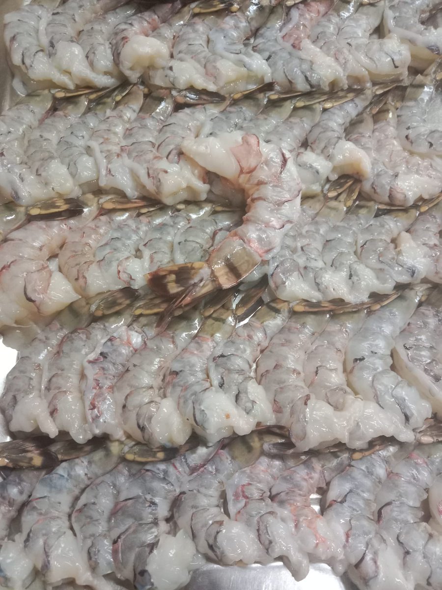 AghaSabir's tweet photo. When you're cooking your meal, prioritize it's nutritional value. The taste, aroma, texture can all take a back seat.
Eat your food like medicine.
#healthandnutrition #karachi #pakistan #youarewhatyoueat #lifecoach #nutrition #seafood #RahbarsKitchen https://t.co/sBiU7Ubj1J