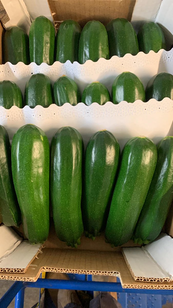 NaturaFirst's tweet photo. Non-Stop! 🔛 Count on seasons not in years! New season 🆕starts and we are ready to offer our very best products🔝🤩! Cherry Vine🍅, Courgettes✅, Red Habaneros🌶️ and Padron Peppers🟢 #Cherrylicious #Chillicious #NicolasGarden https://t.co/EIi52ePahz