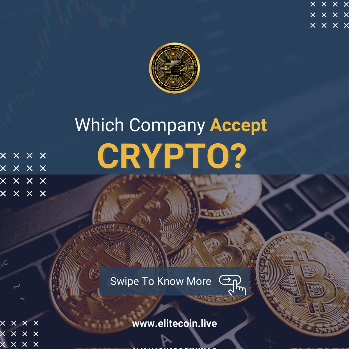 EliteCoin2's tweet photo. Transactions are switching from traditional to digital format.
Here are the companies you can pay with digital currencies.

https://t.co/uezgJCiRHU

#cryptocurrency #cryptocurrencynews #cryptocurrencytrading #cryptocurrencyinviestments #cryptocurrencymining #elitecoin https://t.co/kEK9EoFjCb