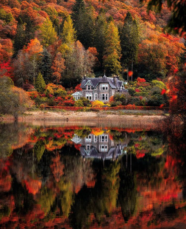 Beautif12959501's tweet image. Loch Ard, Scotland, United Kingdom
📸: James Alroca
#Scotland 🏴󠁧󠁢󠁳󠁣󠁴󠁿 #Edinburgh #lochard  #Autumn 
#traveling  #travelphotography