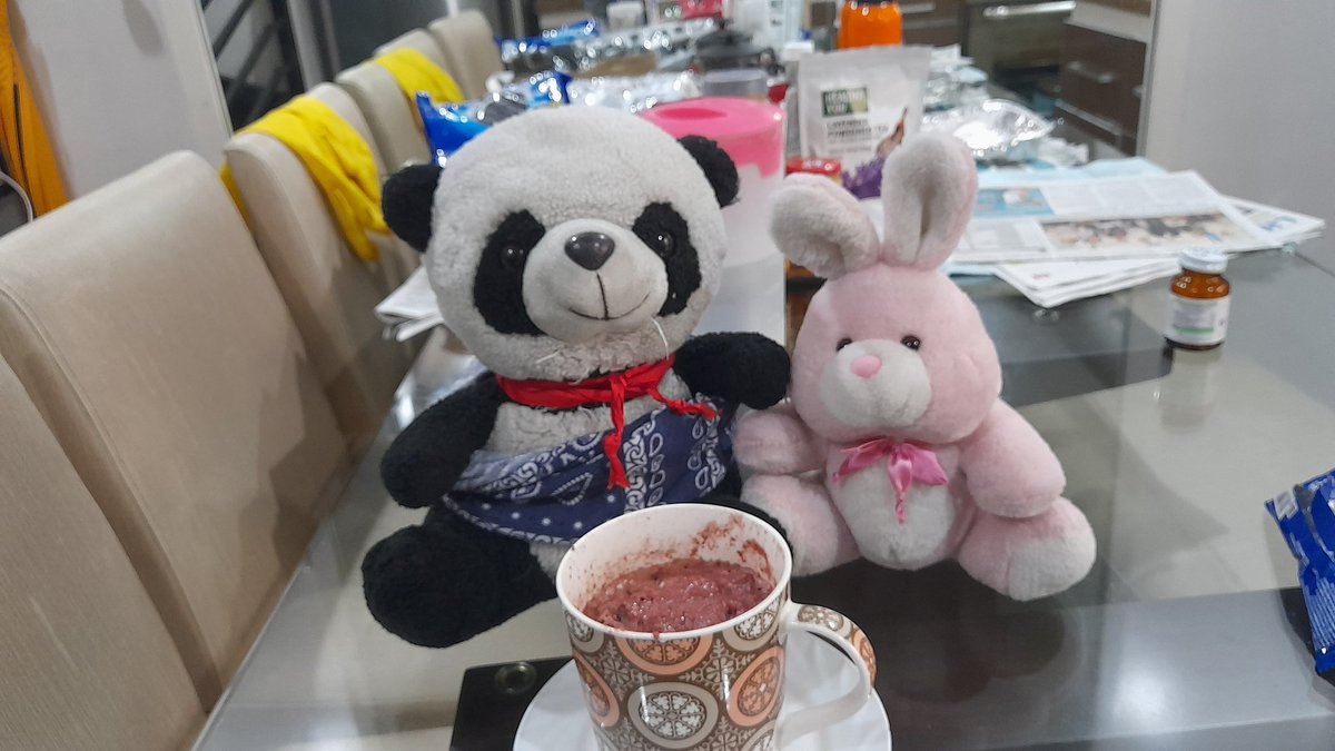 MisterPandaBoom's tweet photo. Stuffed toy 🧸 panda 🐼 and bunny 🐰 looking at the pudding-turned-cake. #photos #stuffedtoy #giantpanda #stuffedpanda https://t.co/gngZP4gwZ3