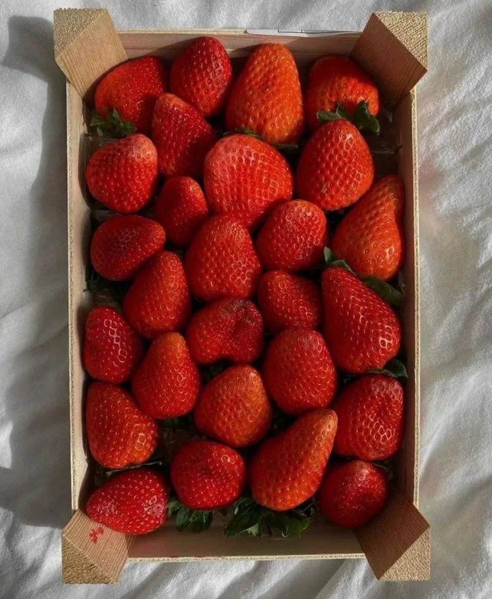 صباح الصبوح 💕
صباحكم فاكهه تفوح🍓 
😄
#صباح_الخير