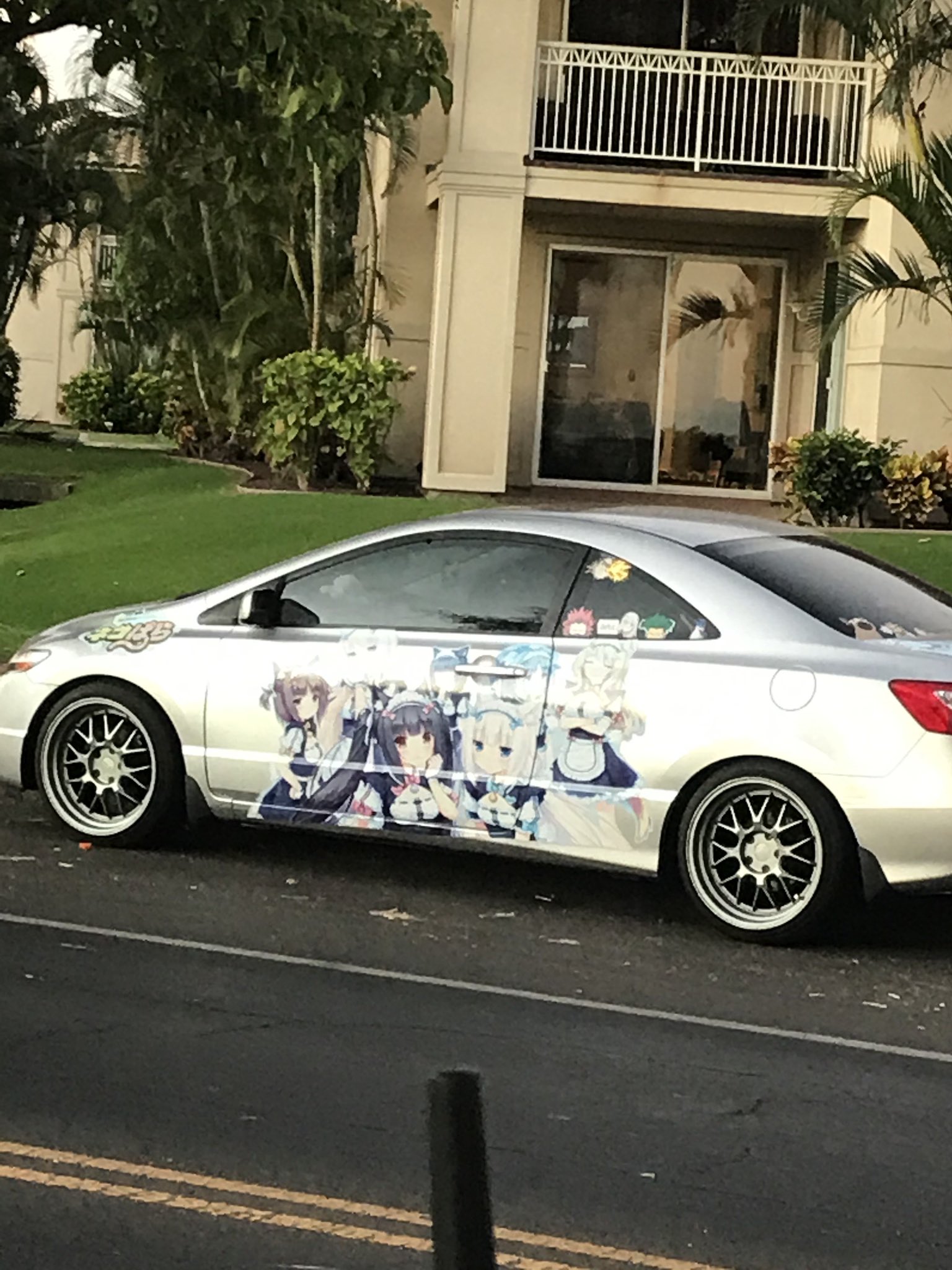 dookie cat on Twitter "fuckedupcars reminds me of this car (i didnt