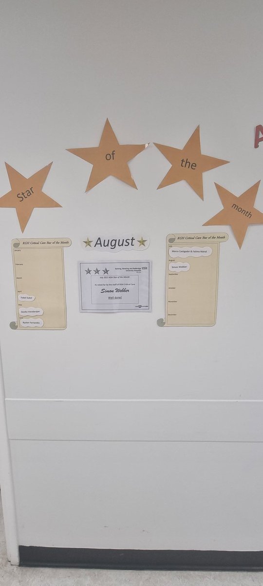 BHR_ITU_PDNteam's tweet photo. ⭐️ In KGH ITU we are showing off our stars of the month throughout the year ⭐️ Star of the month is voted for by the staff themselves so it makes it even more special ⭐️ @micheleelliot10 @ruth_dando @magsomahony_o @BHRUT_NHS #proudofbhrutitu #itunurses #staffwellbeing https://t.co/SKNQFdueUj