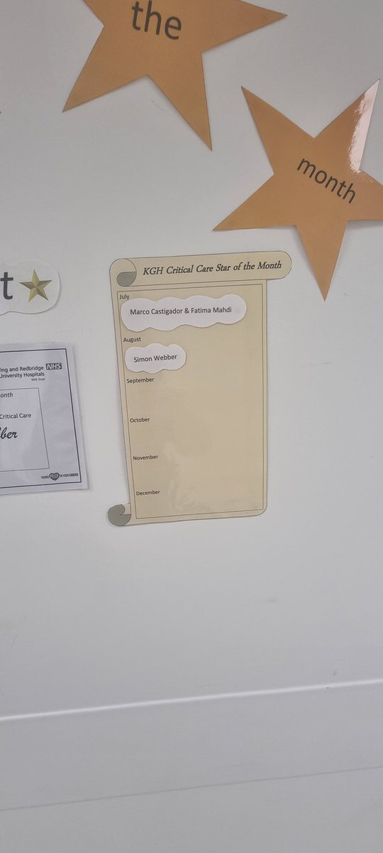 BHR_ITU_PDNteam's tweet photo. ⭐️ In KGH ITU we are showing off our stars of the month throughout the year ⭐️ Star of the month is voted for by the staff themselves so it makes it even more special ⭐️ @micheleelliot10 @ruth_dando @magsomahony_o @BHRUT_NHS #proudofbhrutitu #itunurses #staffwellbeing https://t.co/SKNQFdueUj