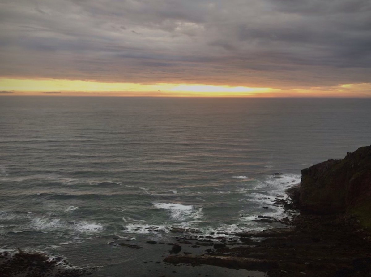 Doug Finch tweet media