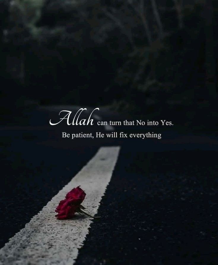 Minahil67246066's tweet photo. Beshak https://t.co/WITFVHnMaO