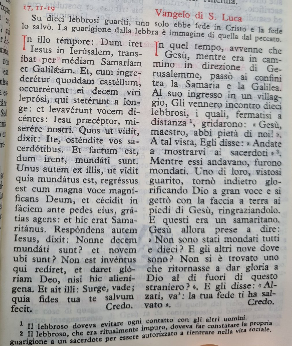 Tarchezio's tweet photo. #VangelodiOggi
#RitoAntico
#MessaApostolica
#VetusOrdo
#06settembre 2022
Sequèntia sancti Evangėlii secùndum #Lucam 🙏 https://t.co/e3vfVv3Aj4