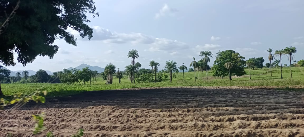 LimitedSolt's tweet photo. Nigerian Farmers Village Project . Enabling indigenous farmers and creating access to the global market for Agriculture in Nigeria and Africa. An Agro-tourism hub for Africa 🌍  Keep a date with us as unveil the phase 1 in Nasarawa State https://t.co/p6io5QSJBQ