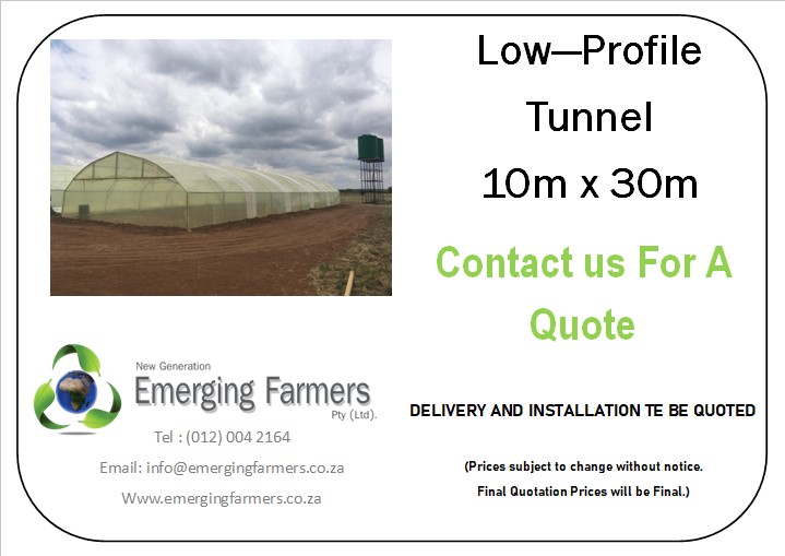 FarmersSA's tweet photo. 10m x 30m x 4.1m Low-Profile Greenhouse Tunnel 
Contact Us For A Quote
WhatsApp: 0833300999
Tel: (012) 004 2164
E-mail: info@emergingfarmers.co.za
Website: https://t.co/vpczlc70bh https://t.co/tU3EwvK099