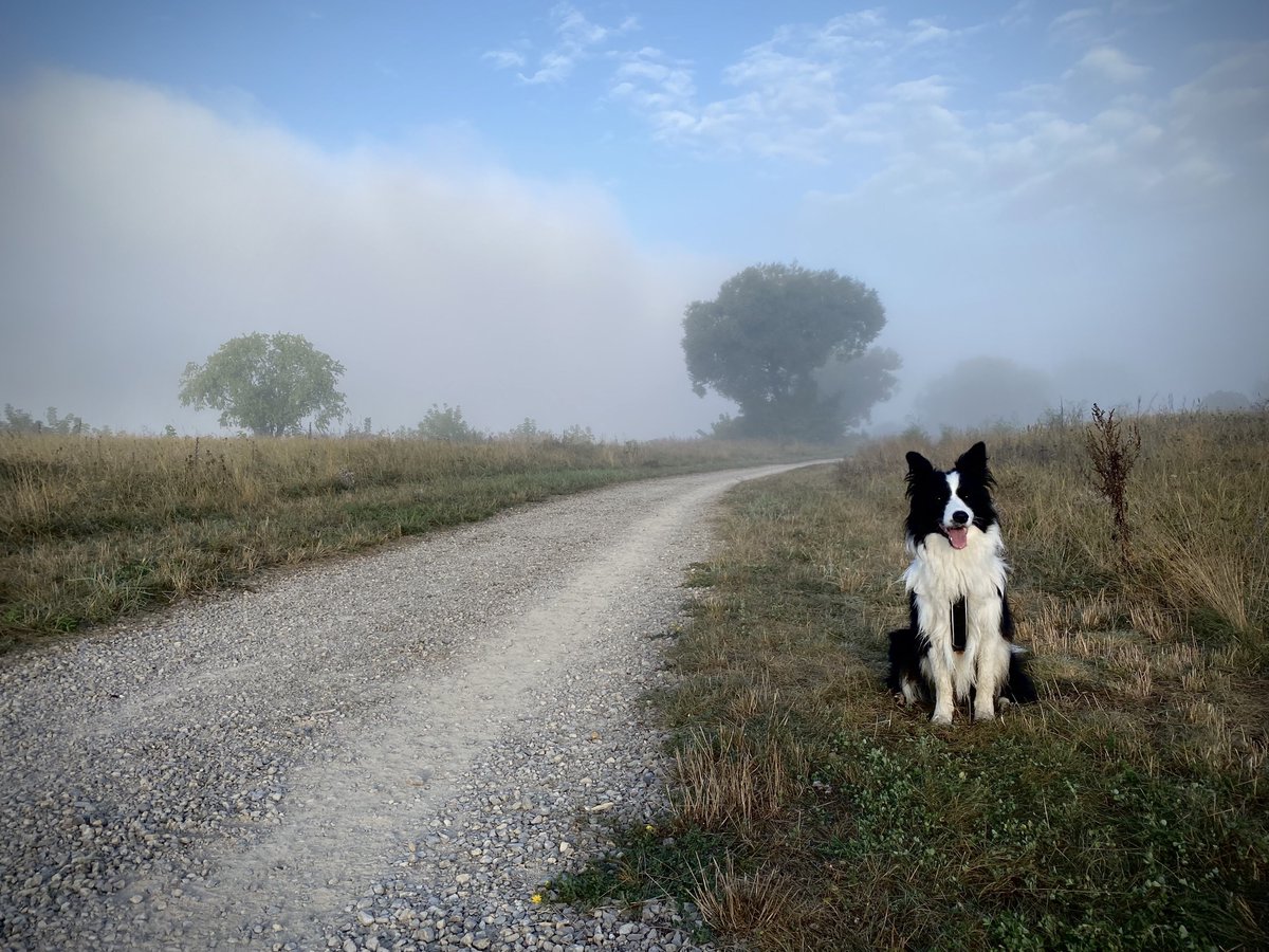 Aras Pranckevičius 🇺🇦🇱🇹 tweet media