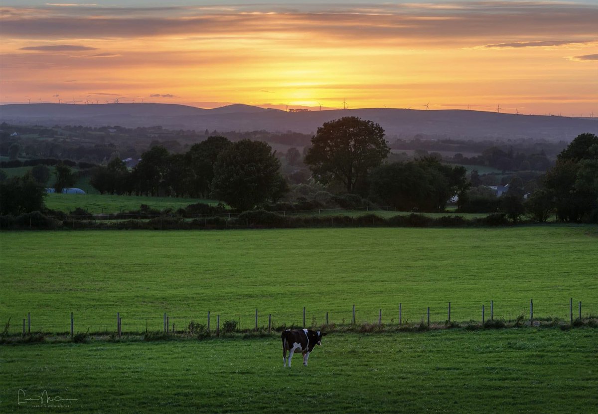 liamslandscapes's tweet photo. Sunset near my home town of Beragh in Co Tyrone the other night. @WeatherCee @angie_weather @bbcniweather @Louise_utv @barrabest #cotyrone #Summer2022 #countryside #farming #beragh https://t.co/s3OQ7U0jQH