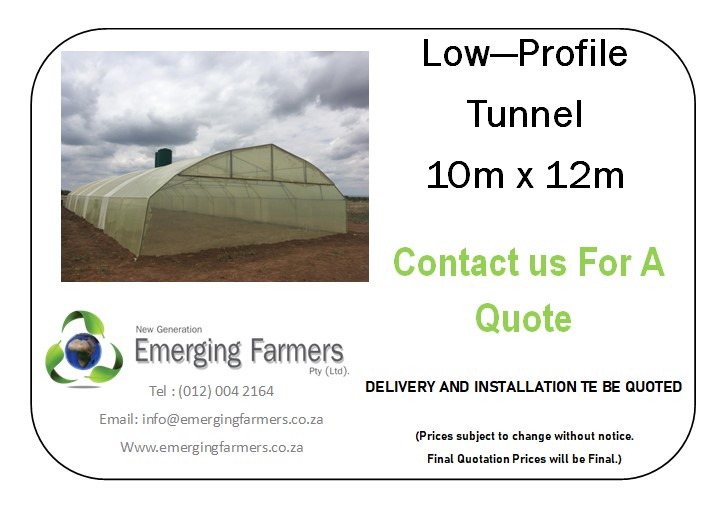 FarmersSA's tweet photo. 10m x 12m x 4.1m Low-Profile Greenhouse Tunnel 
Contact Us For A Quote
WhatsApp: 0833300999
Tel: (012) 004 2164
E-mail: info@emergingfarmers.co.za
Website: https://t.co/vpczlc70bh https://t.co/felDbKWUKi