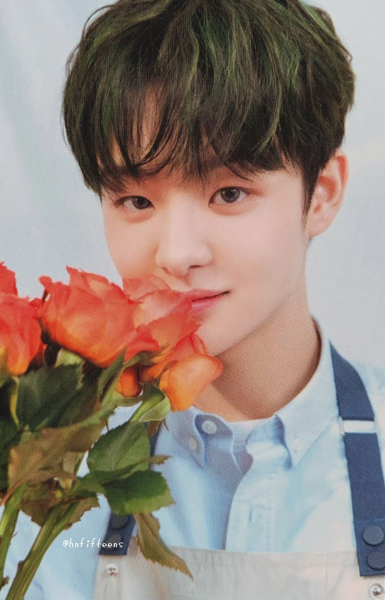 hnfifteens's tweet photo. [SCAN] #지훈 #ジフン #JIHOON
 #요시 #ヨシ #YOSHI Jihoon Yoshi pc

TREASURE — Blooming Treasure MD Binder Photocard https://t.co/wSHobYt6id