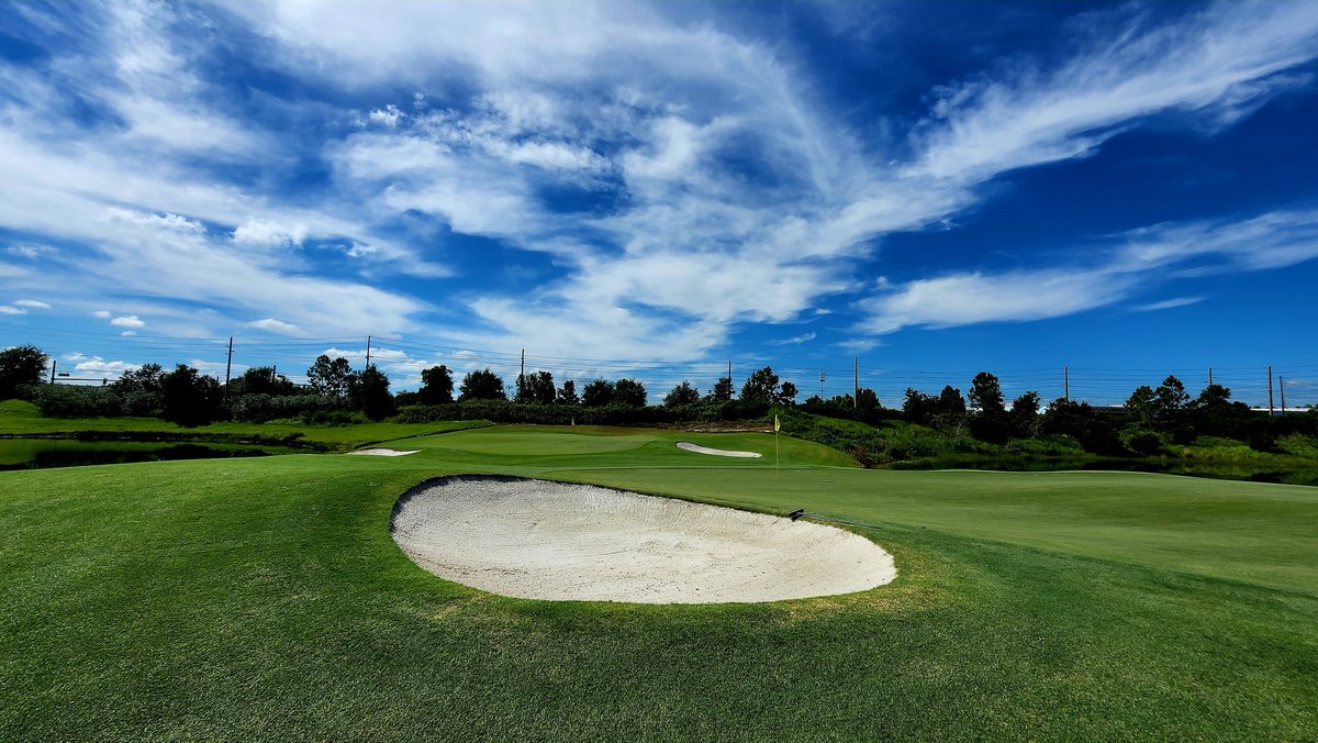 john reilly tweet media