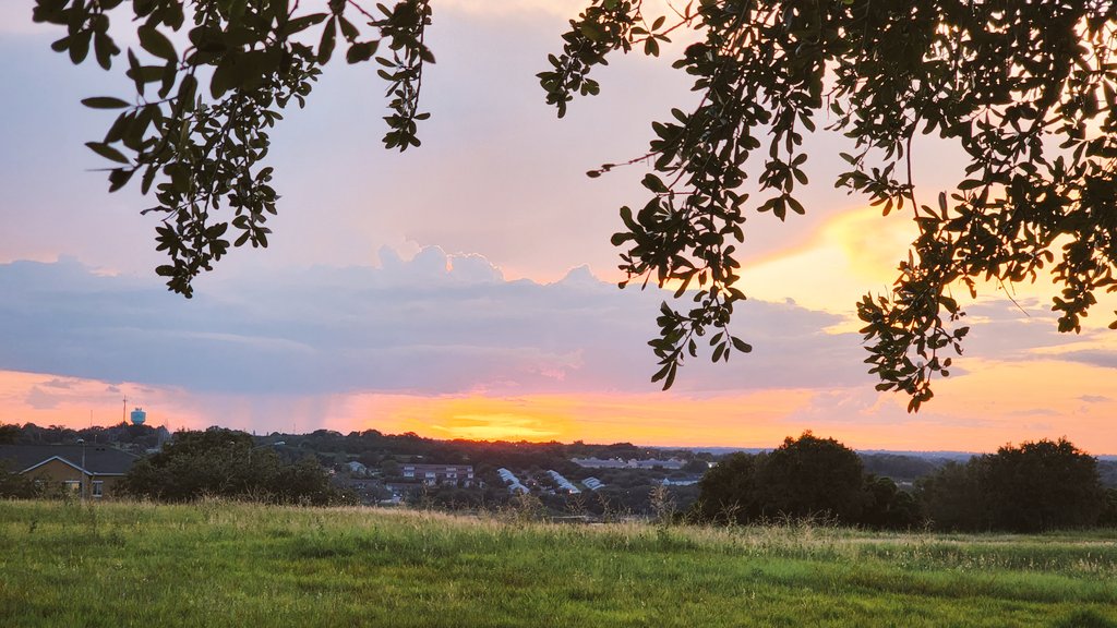 john reilly tweet media