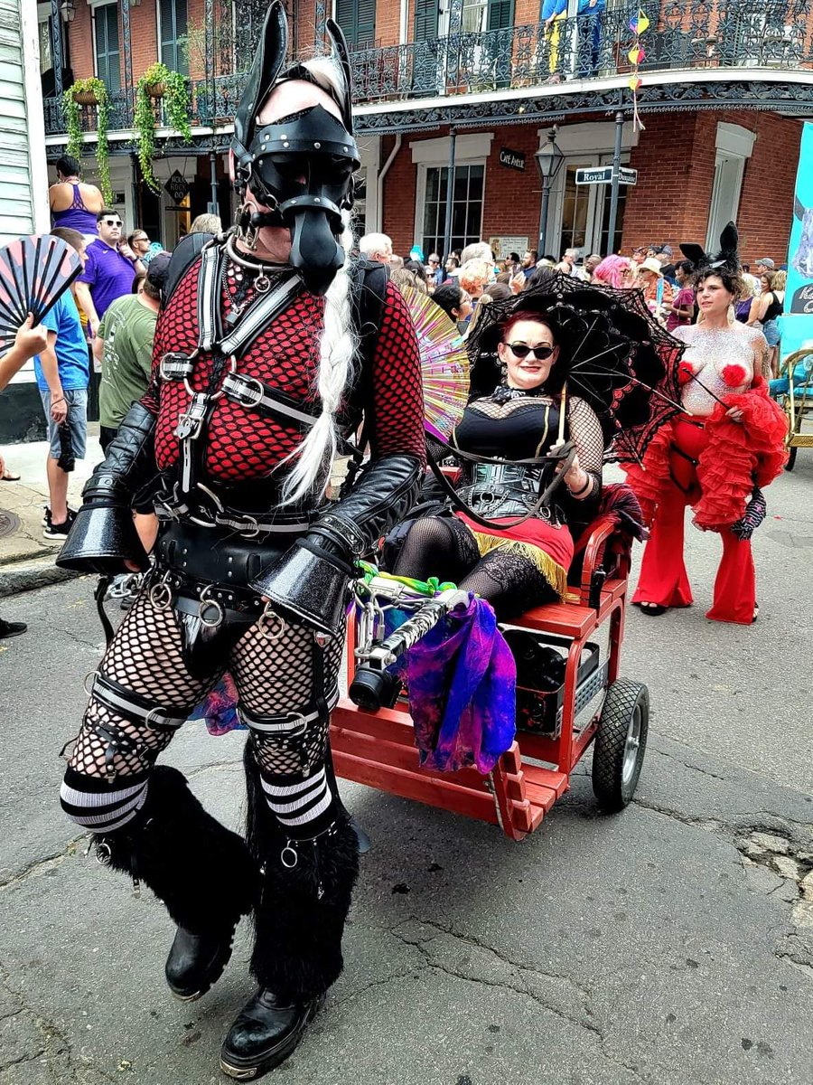 RaynePet's tweet photo. Ponying up for Southern Decadence in New Orleans! @MistressEve69

#ponyplay #humananimalroleplay #humanpony
#queer #southerndecadence #southerndecadence2022 https://t.co/BrUsNTeSUa