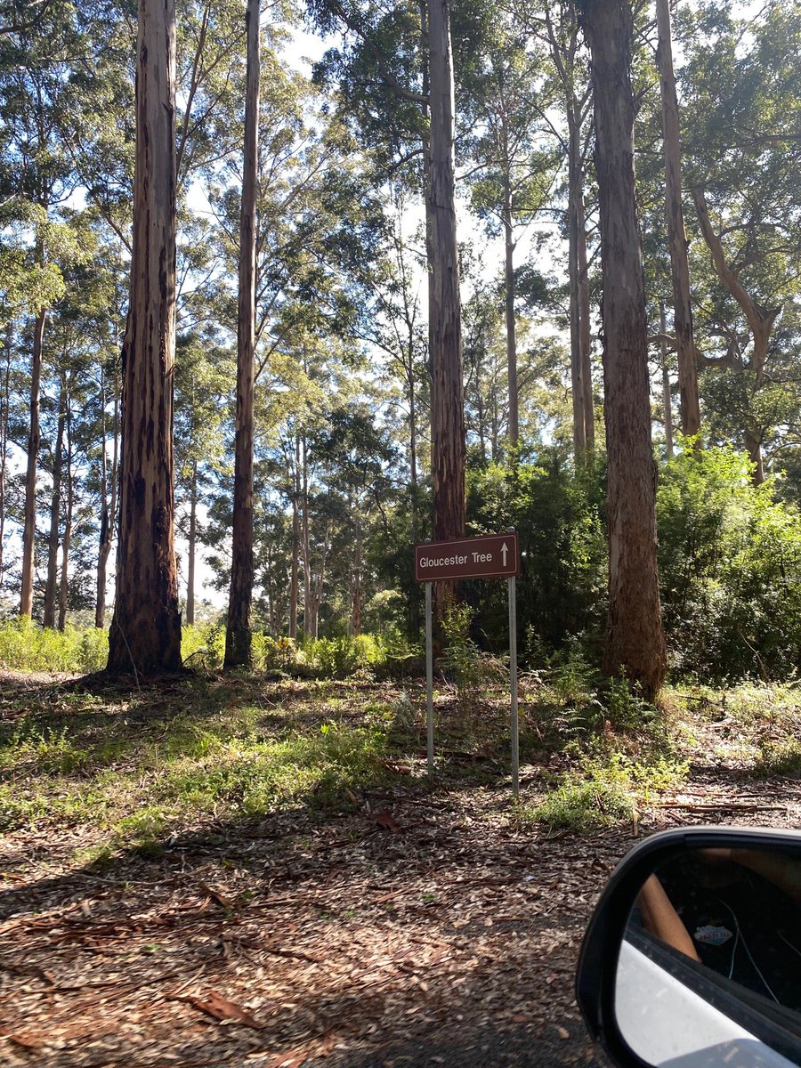 TPutra's tweet photo. I'm at Gloucester Tree &amp; Trails https://t.co/6XxRUCfw2p https://t.co/QcS63IAO8v