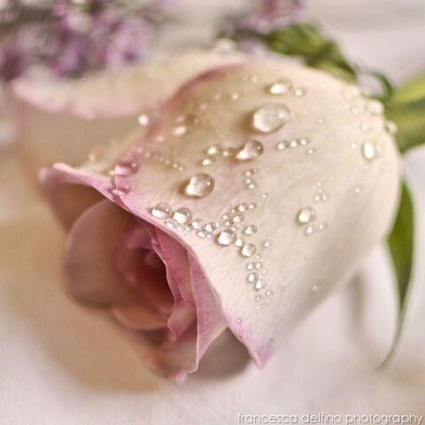 Günaydın…
Hayırlı sabahlar…
Sağlıklı mutlu ve güzel bir gün geçirmenizi dilerim…