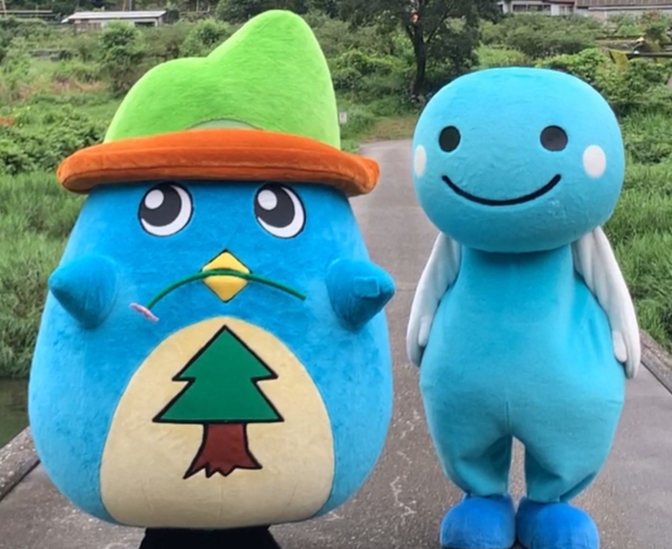 くろしおくん 公式 Kuroshiokun Kc Twitter