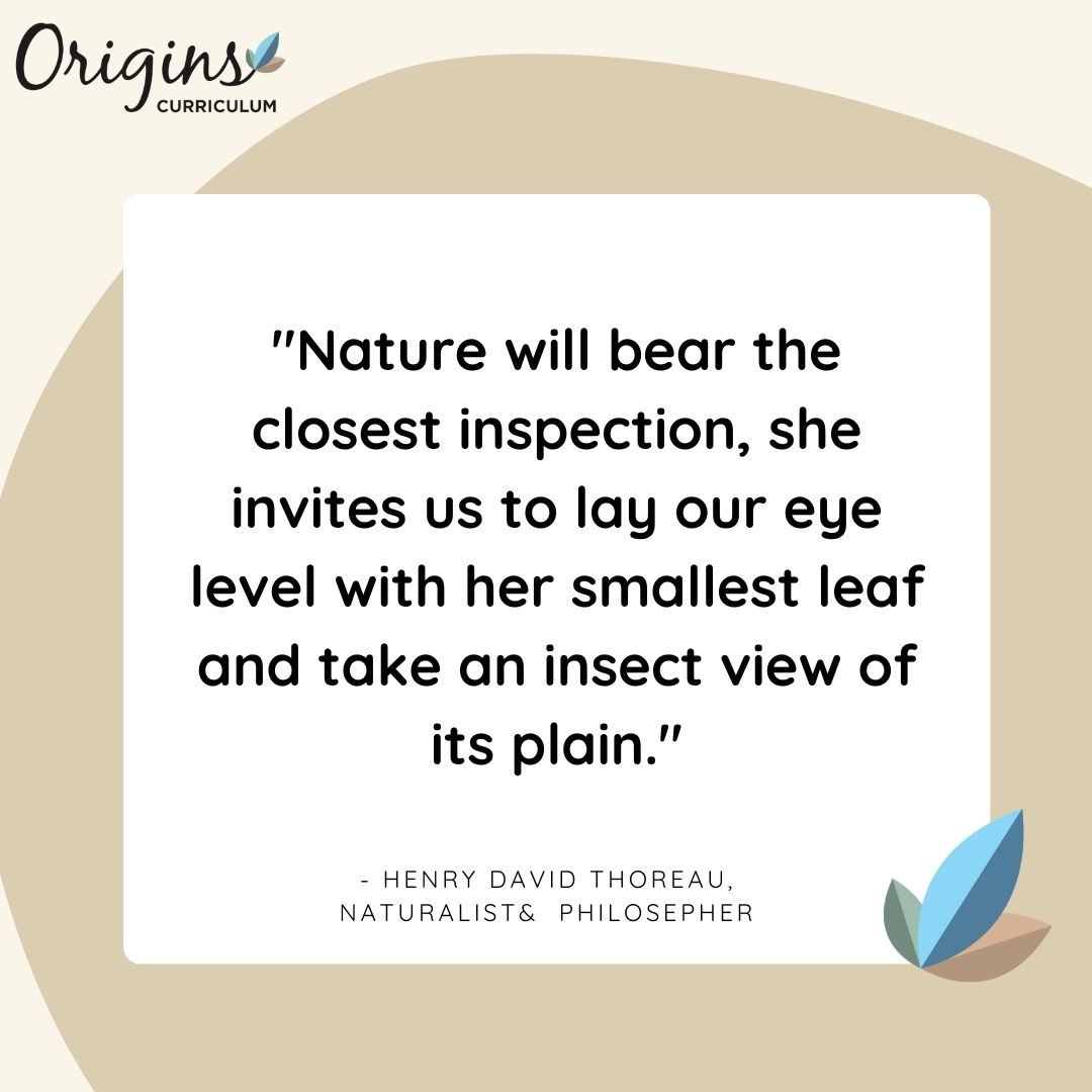 conscious_edu's tweet photo. Have you ever sat and stared as leaves fall from a tree? At bees collect nectar? Or at the flowing current of a creek? These are all mindful moments you are taking with nature. Connecting, appreciating, witnessing. 

Invite you child or student to observe something from nature wi https://t.co/i8UHJ5itrz