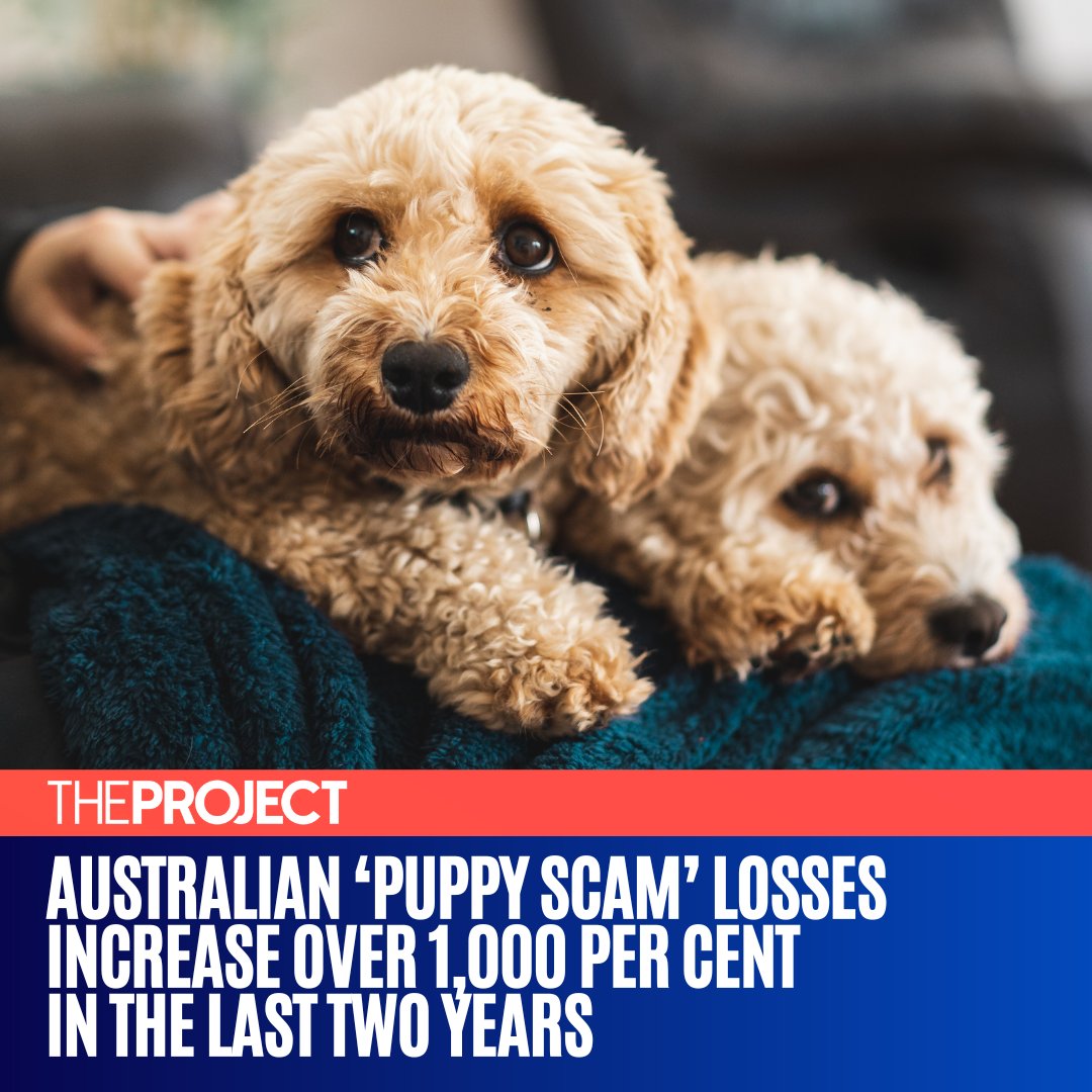 The Project on Twitter "More and more Australians have fallen victim