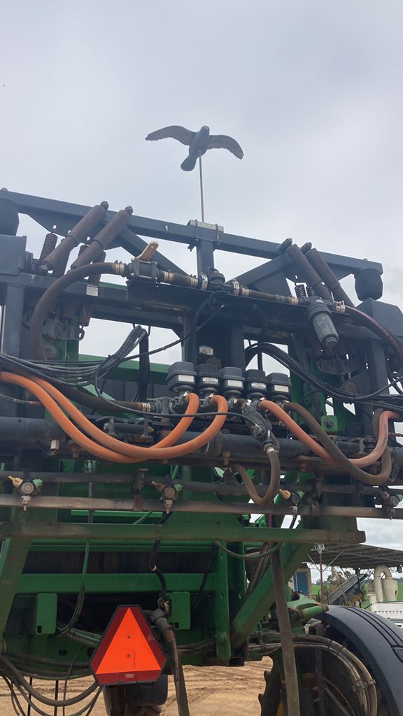 Trying to keep the parrots from destroying the wiring on my sprayer….seems to be working so far