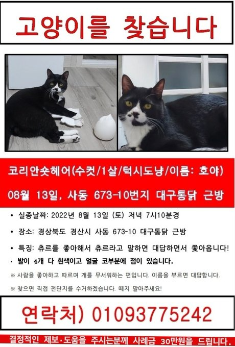 조말꾸🎗 tweet media