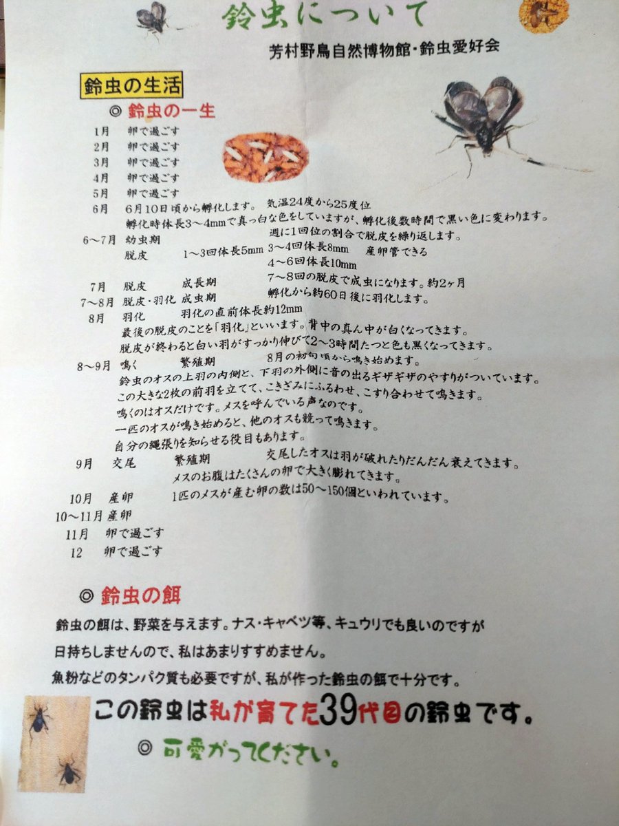 芳村野鳥自然博物館 Twitter Search Twitter
