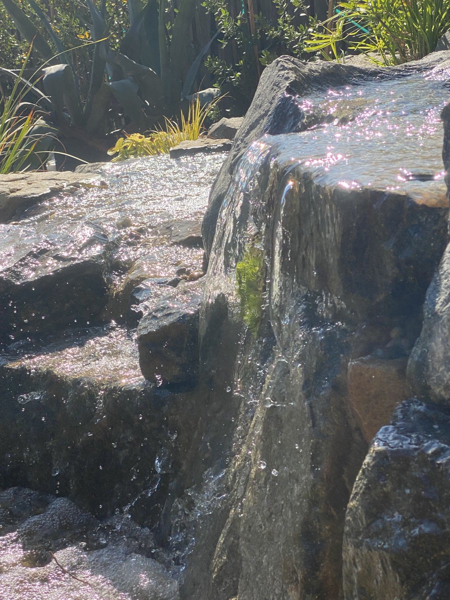 Lunaquatic1's tweet photo. The sparkle of the splashing water in this waterfall has us pining for cooler temps. Hopefully this waterfall is helping insects and critters to beat the heat!!
#losangeles #california #heatwave #waterfalls #lunaquatic #splashingwater #Heatwave2022 https://t.co/CJgU4Ab2ip
