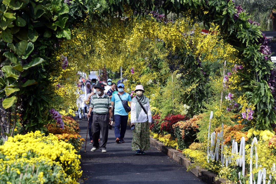 wan_zNewsMPB's tweet photo. Sempena musim cuti sekolah, #FLORIA Diraja Putrajaya 2022 disambung sehingga Ahad (11 Sept) dan masuk adalah PERCUMA! 

Bunga Raya (Hibiscus rosa-sinensis) diisytihar bunga rasmi bagi Wilayah Persekutuan (Putrajaya, KL, Labuan) - @shahidan_kassim 

@BuletinTV3 https://t.co/zhcGNj8n5E