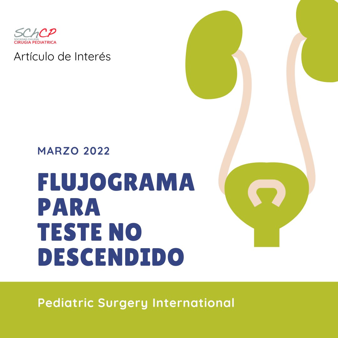 Schcp's tweet photo. BIENVENIDO SEPTIEMBRE CON ALERTA DE TRABAJO CHILENO 🇨🇱🇨🇱🇨🇱
Muy útil para cirujanos desde su formación hasta en la práctica diaria de un urólogo  
Más articulos destacados 👉https://t.co/HjVmtDo8xA 

#SoMe4PedSurg #Schcp #ArtículoDeInterés 😎
#criptorquidia #laparoscopy #testiculo https://t.co/BtIc0EaMCZ