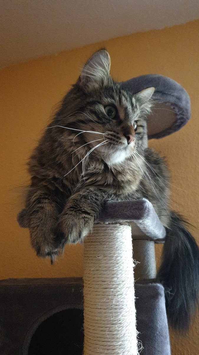 ca 1Uhr nachts von meinem Leo geweckt worden, er wusste was für ein Tag heute ist.❤️