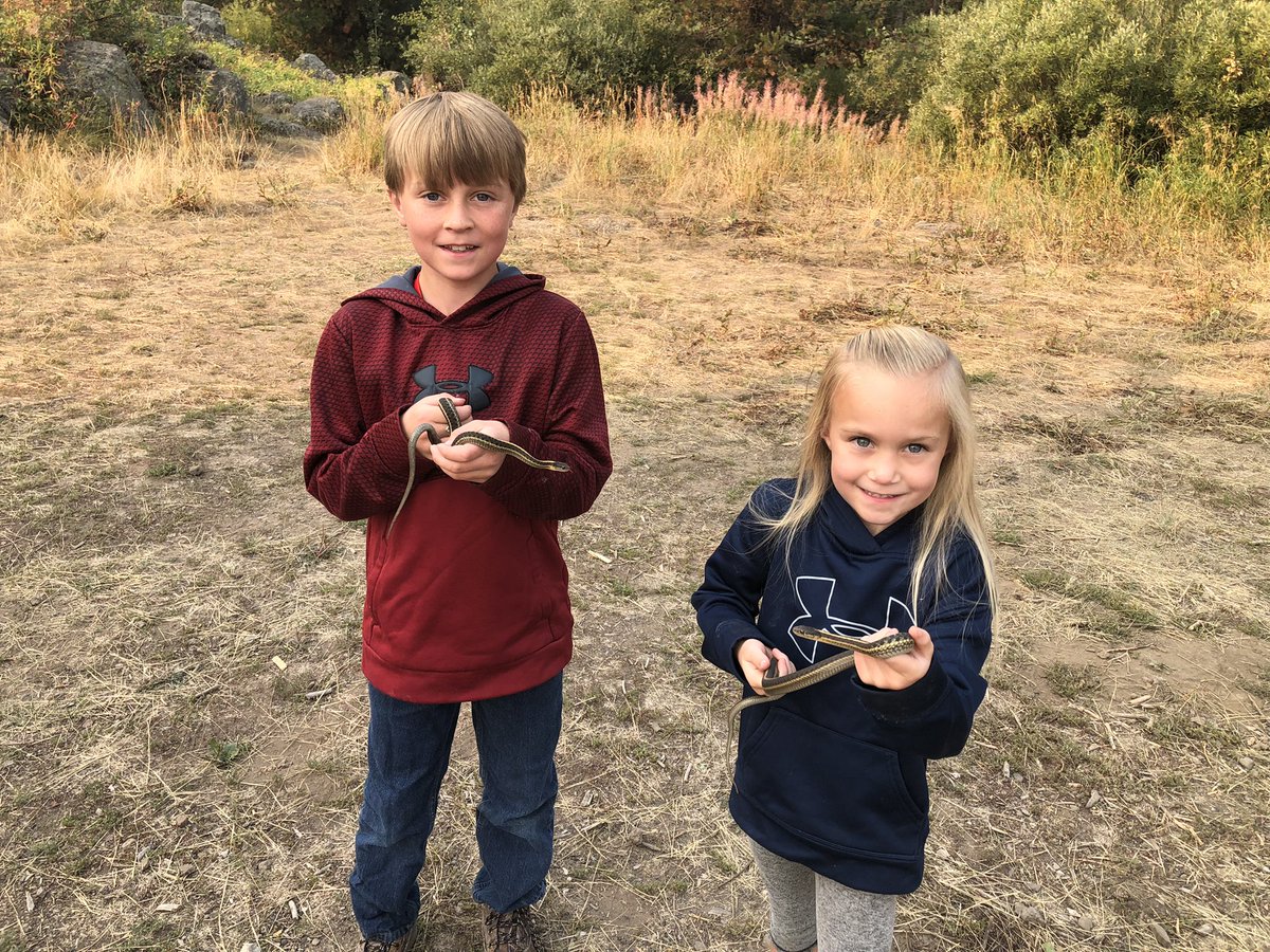 Last minute/last of the summer camp trip. Just enough time to cook s’mores, go for a short hike, and of coarse catch some snakes