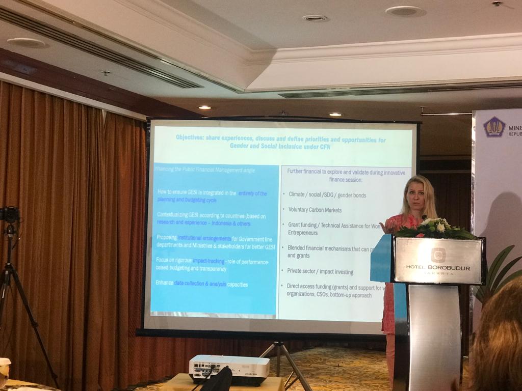 During Workshop In her presentation <a href="/SzilviaLehel/">Szilvia Lehel</a> Gender and Climate Finance Specialist <a href="/UNDPasiapac/">UNDP in Asia and the Pacific</a> shared experiences, discuss &amp; define priorities and opportunities for Gender and Social inclusion under Climate Finance Network.