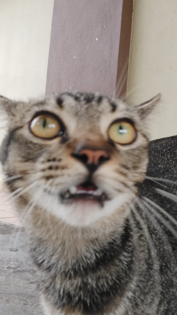 ReStoP15's tweet photo. “bruh” https://t.co/EUARz54zsL