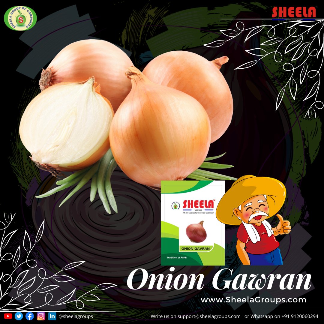 Sheelagroups's tweet photo. Sheela Group's Onion Gawran

https://t.co/hxwiVRHOXQ
#sheelagroups #sheelaseeds #sheelaagritech #onion #vegetable https://t.co/l83GdSUTRn
