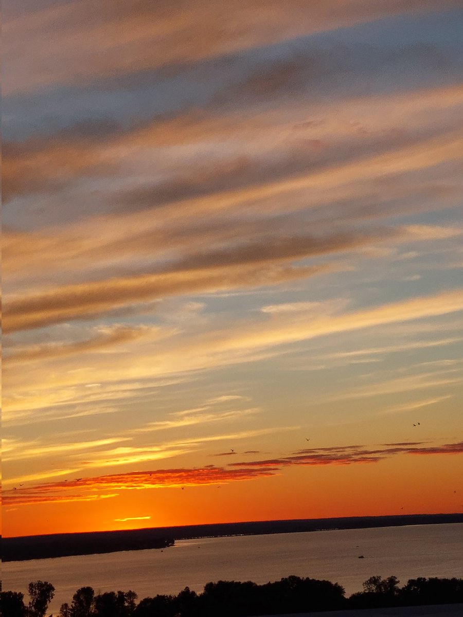 storycatching's tweet photo. @mjordanottawa @Ottawa_Tourism @NCC_CCN @ThePhotoHour My view this evening! https://t.co/F7376MbTNX